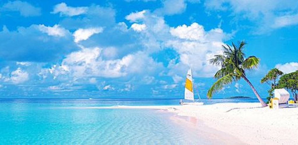 Book Amtrak Tickets Online | Fast & Easy Train Reservations